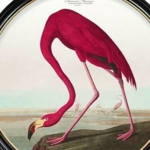 Meet your Posher, Jade